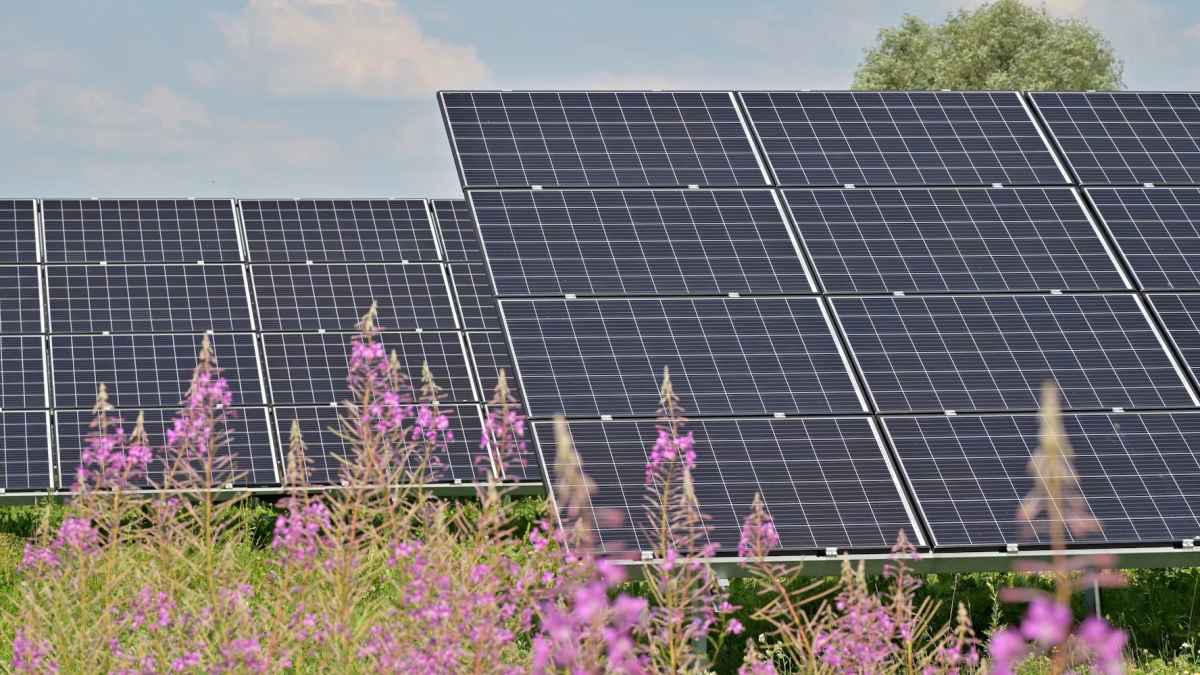 ¿Cuánto vas a ahorrar este verano con paneles solares? Cómo proyectarlo con tu boleta