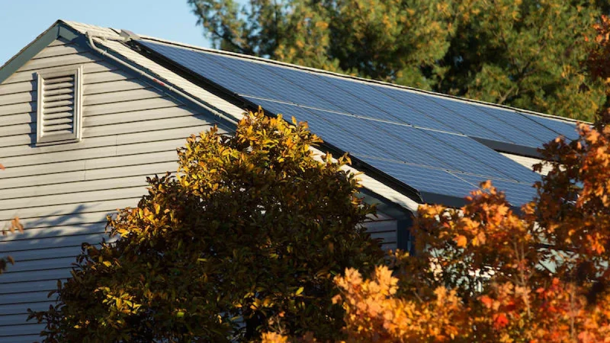 ¿Cómo funciona el panel solar?