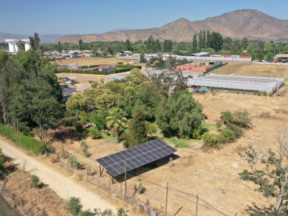 Vivero de Lechugas — foto 2