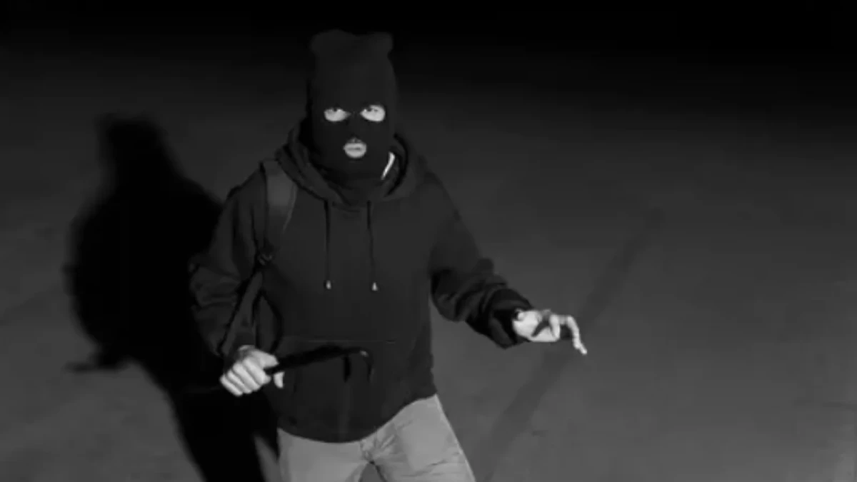 ¿Cómo cuidar mi casa de un apagón y no sufrir la delincuencia?