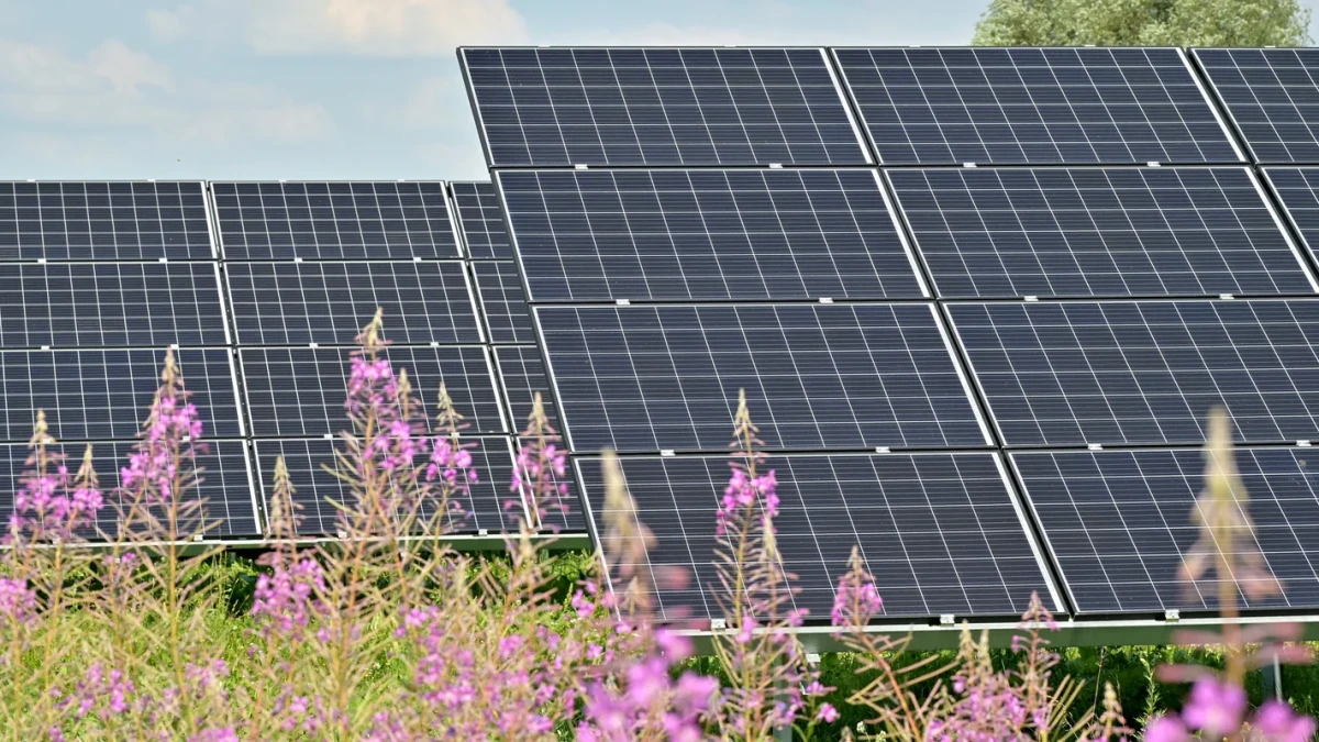 El positivo efecto medioambiental de la energía solar, que puede hacerte sentir bien