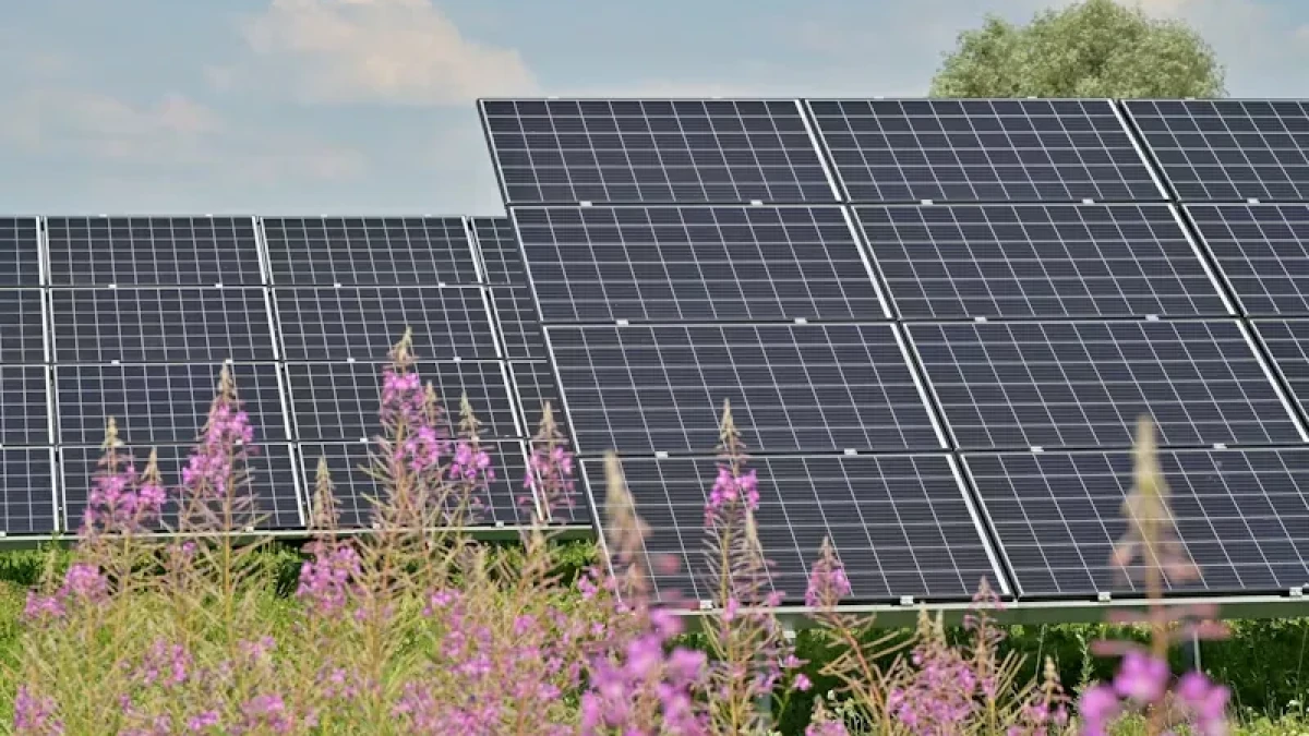 ¿Cómo saber si un Panel Solar está dañado? Guía completa para identificar y resolver problemas