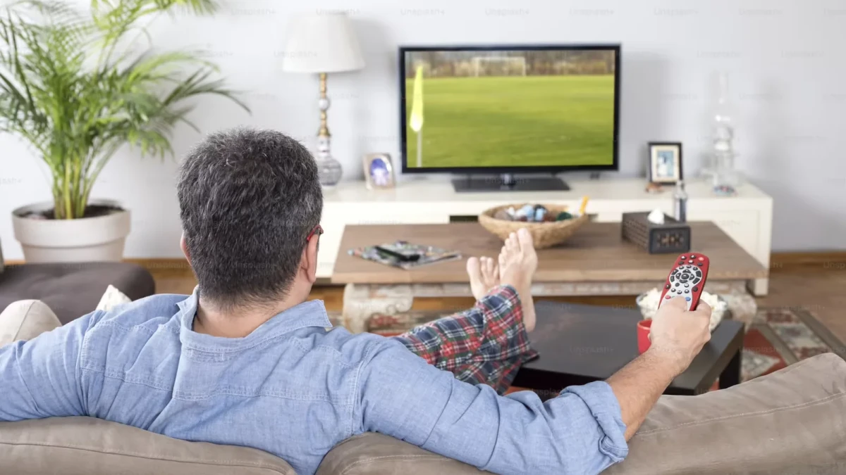 ¿Cuántos Paneles Solares se necesita para un televisor?
