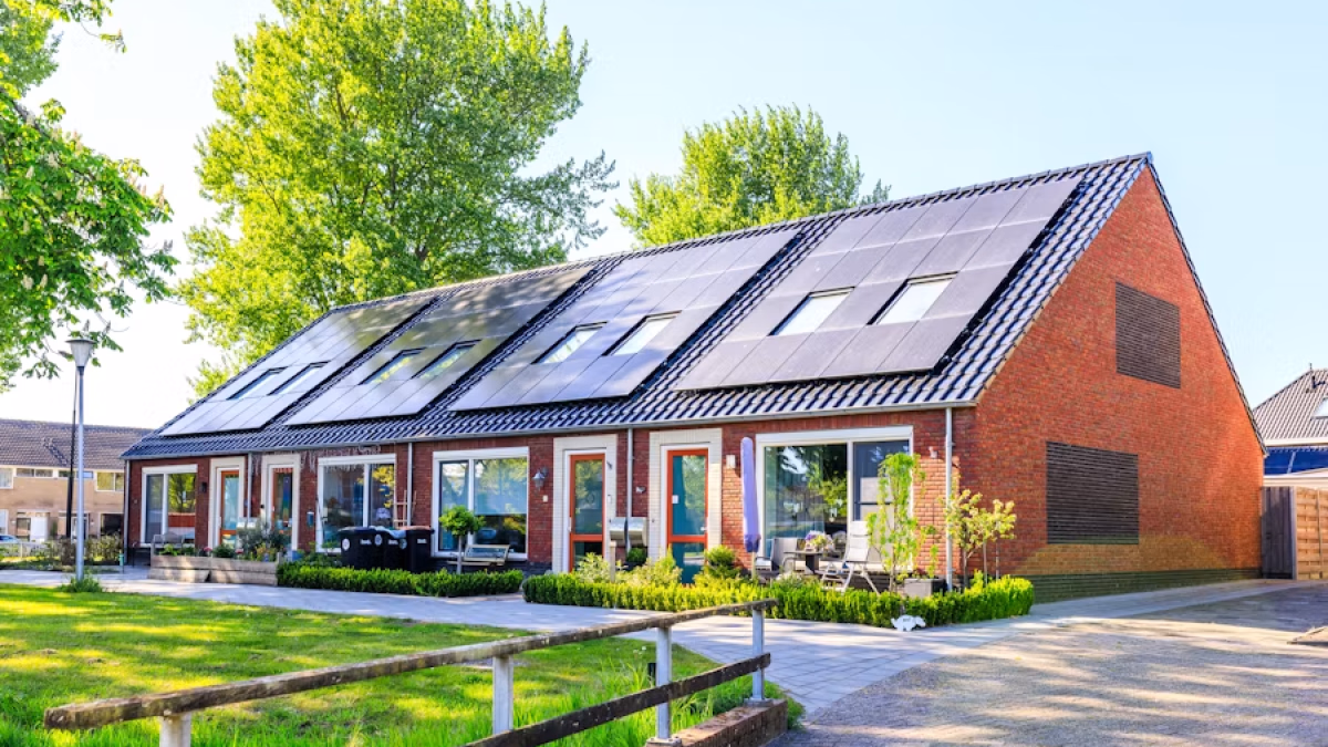 ¿Cómo optimizar mis hábitos de consumo para aprovechar mejor mis paneles solares?