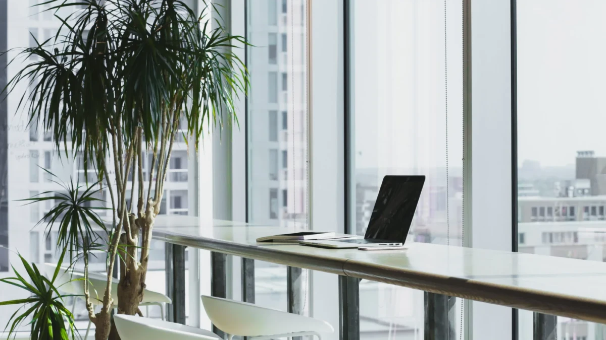 ASÍ PUEDES CONVERTIR TU LUGAR DE TRABAJO EN UN ESPACIO SOSTENIBLE
