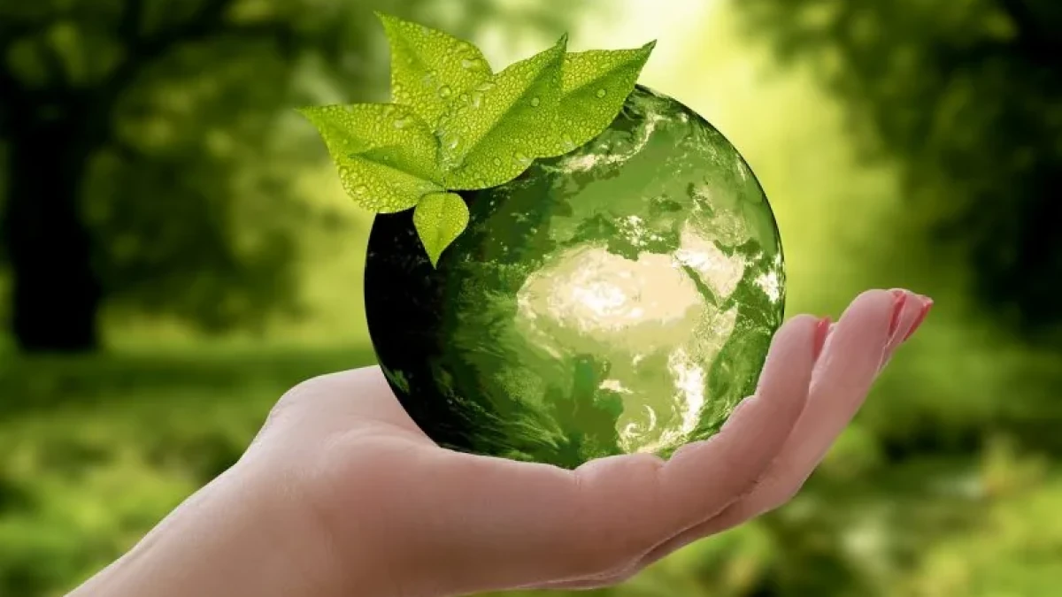 ¡REDUCE LA HUELLA DE CARBONO EN TU HOGAR!