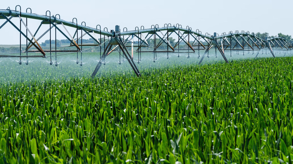 ¿Cómo funciona el riego y bombeo de agua con energía solar?