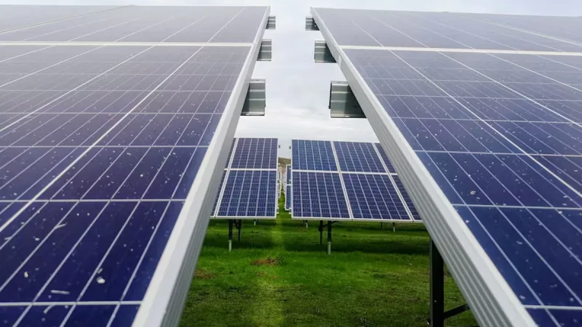 ¿Por qué la energía renovable se está volviendo cada vez más popular?